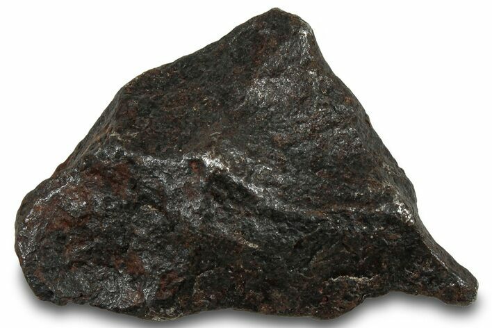 Canyon Diablo Iron Meteorite ( g) - Arizona #319685